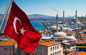 Можно ли выезжать из Турции после подачи документов на ВНЖ ?